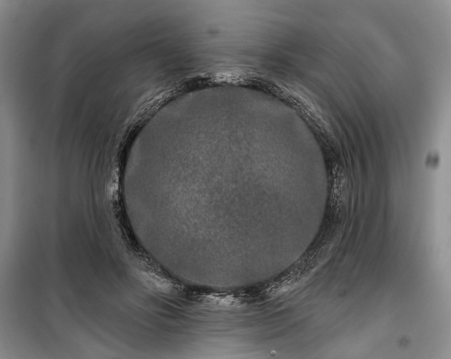 X0000100360502200806131018