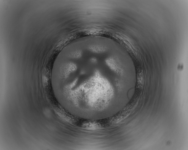 X0000100360503200806131018