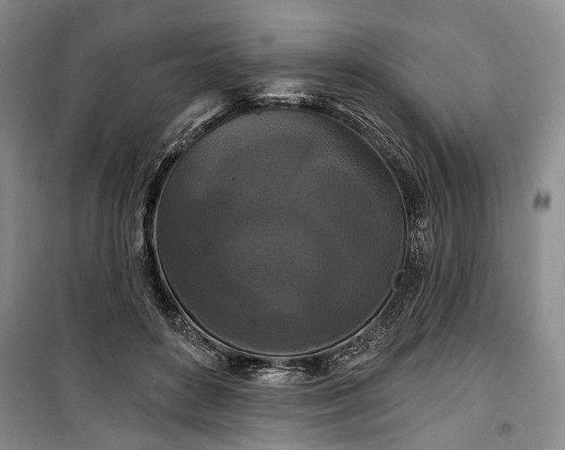 X0000100360504200806131018