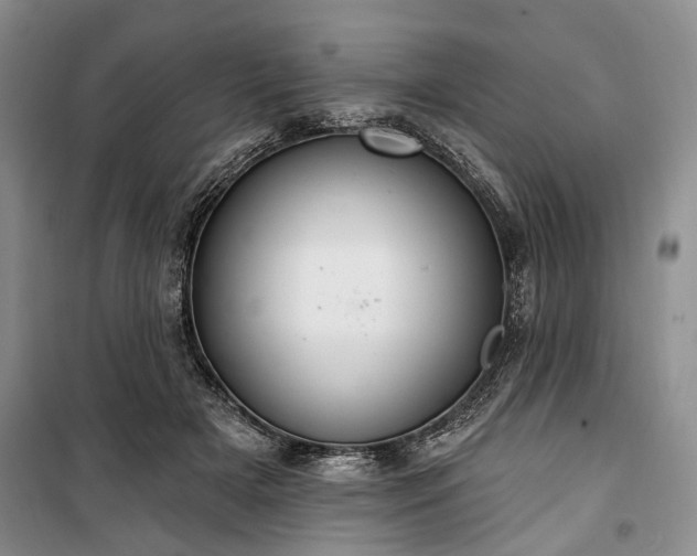 X0000100360505200806131018