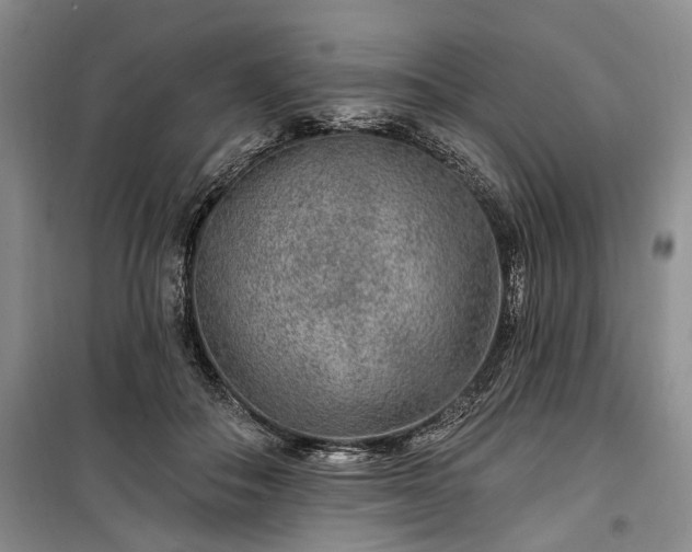 X0000100360506200806131018