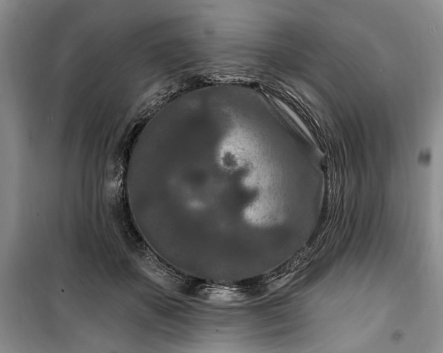 X0000100360507200806131018