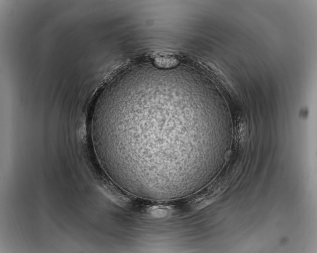 X0000100360508200806131018