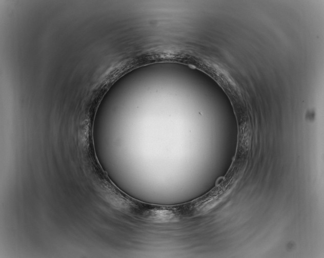 X0000100360509200806131018