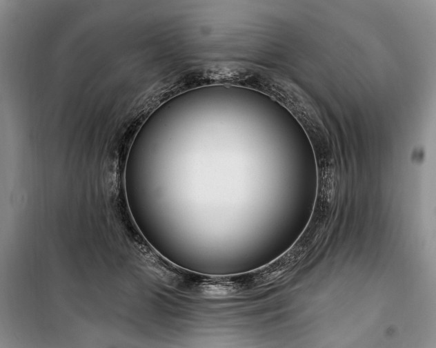 X0000100360510200806131018