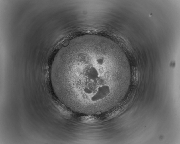 X0000100360511200806131018