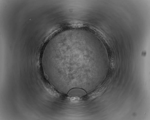 X0000100360512200806131018