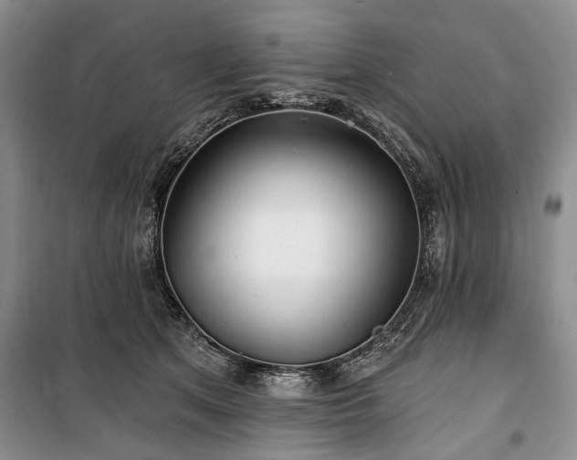 X0000100360513200806131018