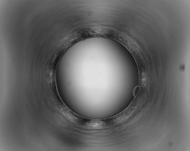 X0000100360514200806131018