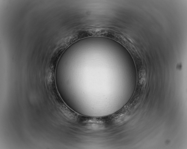 X0000100360515200806131018