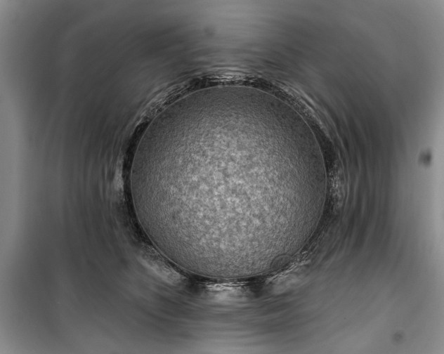 X0000100360516200806131018