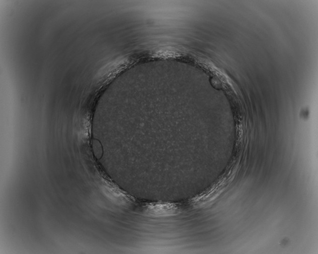 X0000100360517200806131018