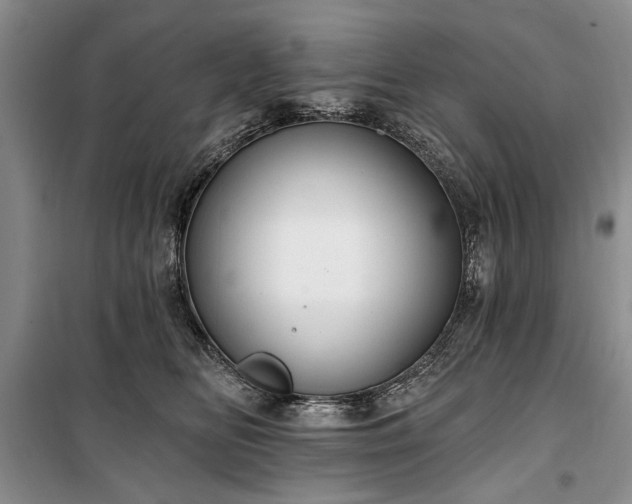 X0000100360518200806131018