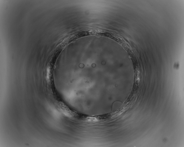 X0000100360519200806131018