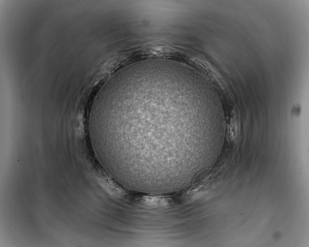 X0000100360520200806131018