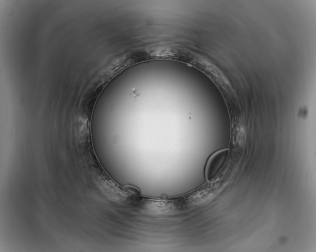 X0000100360521200806131018