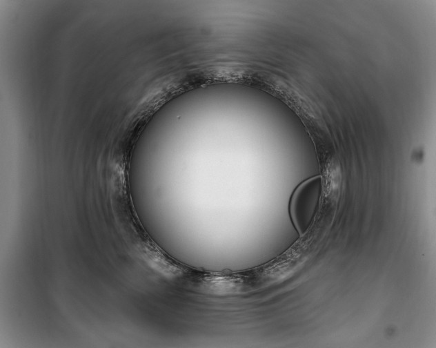 X0000100360522200806131018