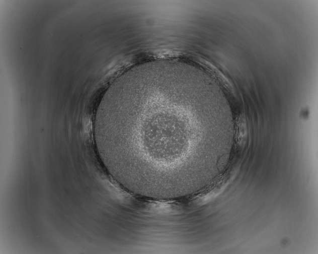 X0000100360523200806131018