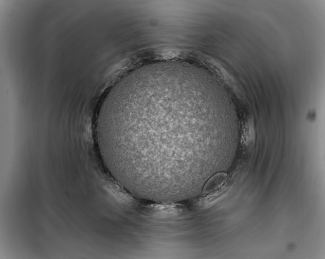 X0000100360524200806131018