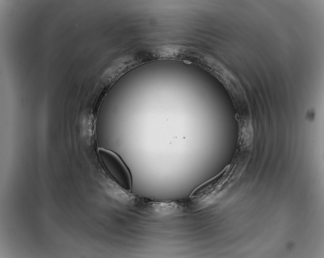 X0000100360525200806131018