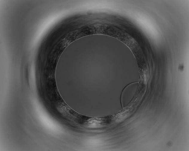 X0000100360526200806131018