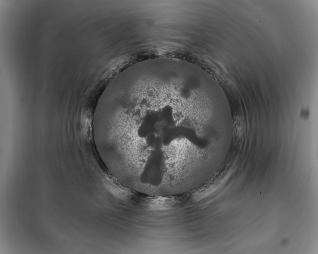 X0000100360527200806131018