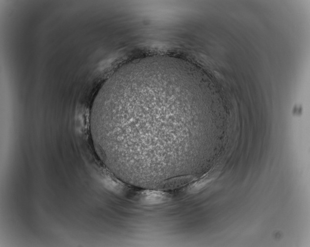 X0000100360528200806131018