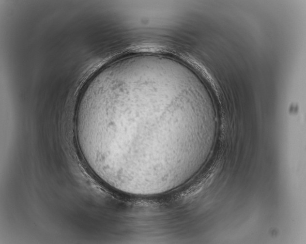 X0000100360529200806131017