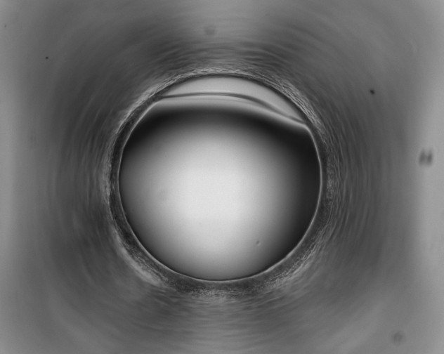 X0000100360530200806131017