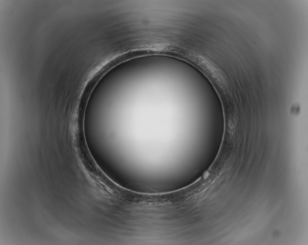 X0000100360532200806131017