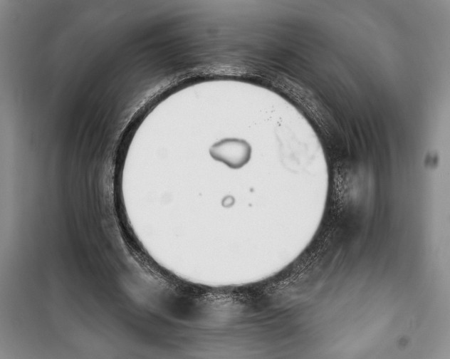 X0000100360534200806131017