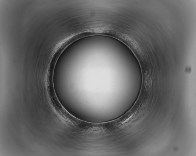 X0000100360536200806131017