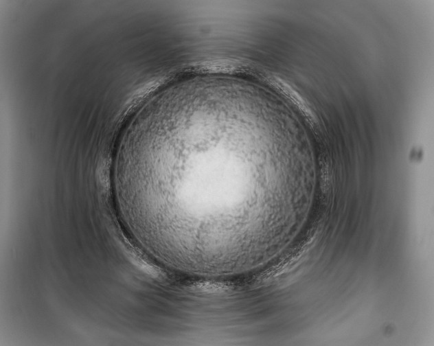 X0000100360537200806131017