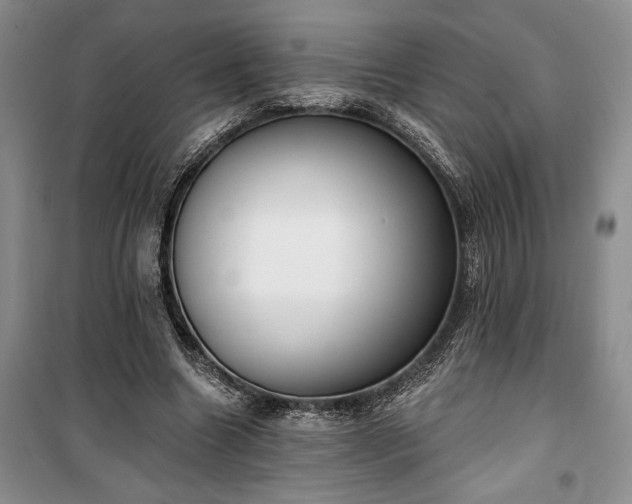 X0000100360538200806131017