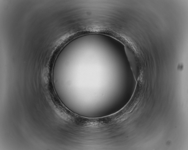 X0000100360540200806131017