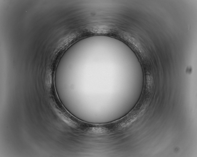 X0000100360541200806131017