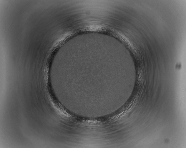 X0000100360542200806131017