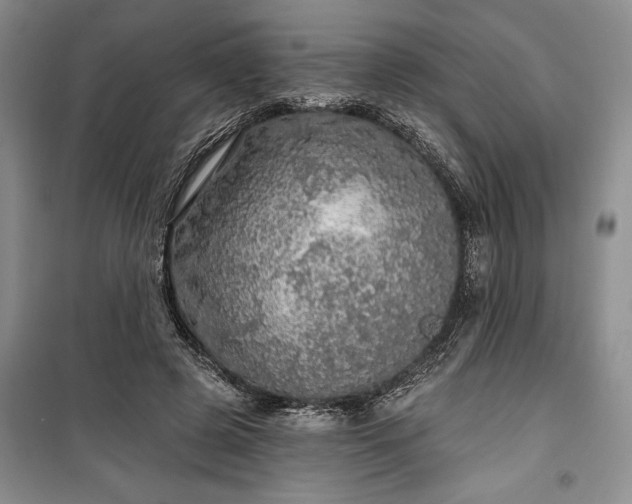 X0000100360545200806131017