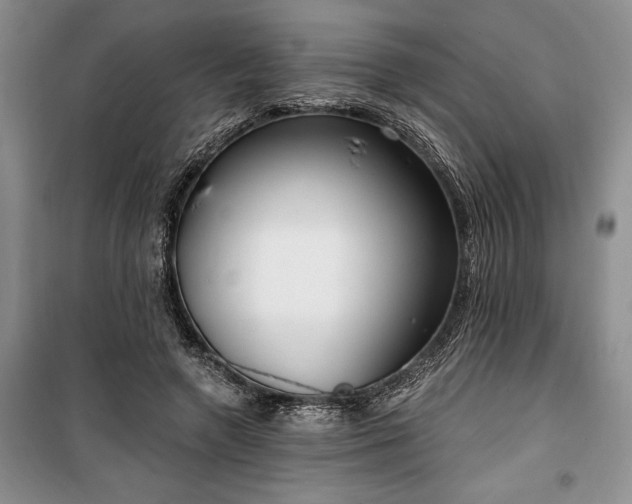 X0000100360546200806131017