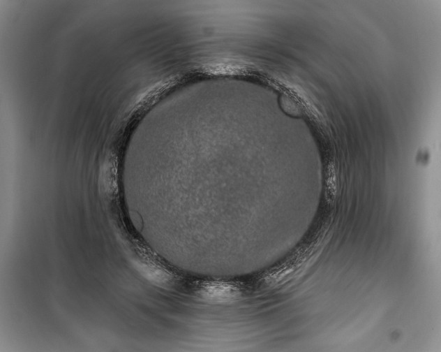 X0000100360547200806131017