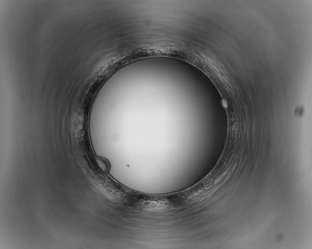 X0000100360548200806131017