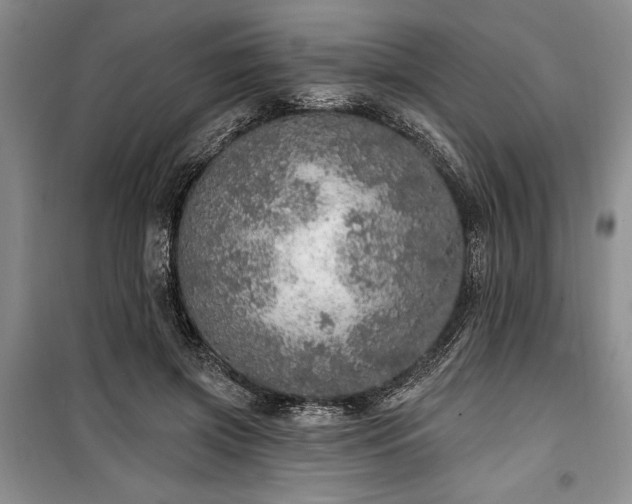 X0000100360549200806131017