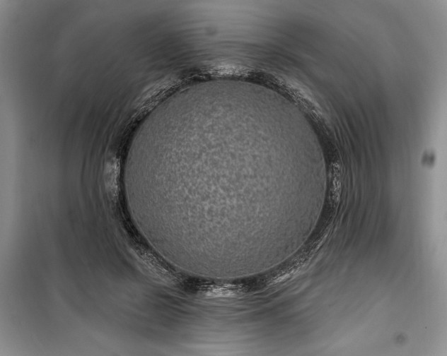 X0000100360550200806131017