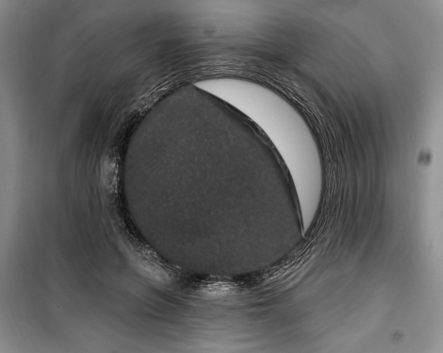 X0000100360551200806131017