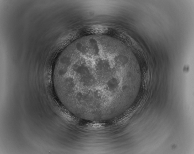 X0000100360553200806131017