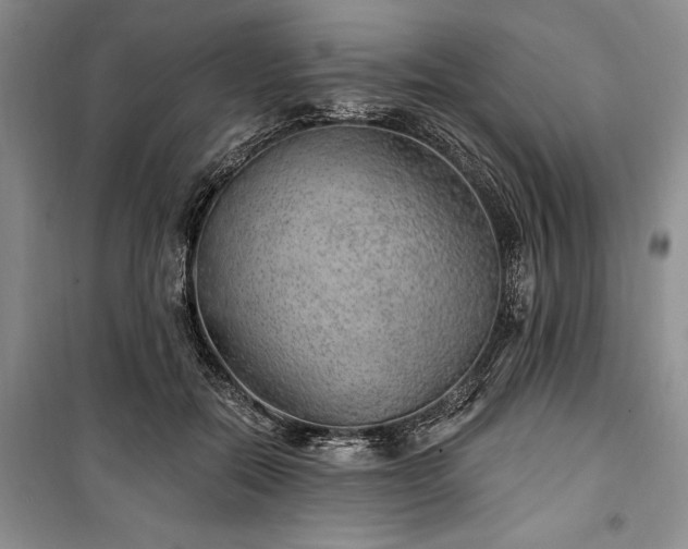 X0000100360554200806131017