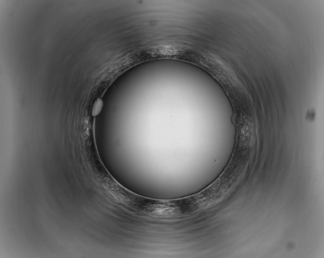 X0000100360555200806131017