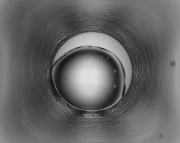 X0000100360556200806131017