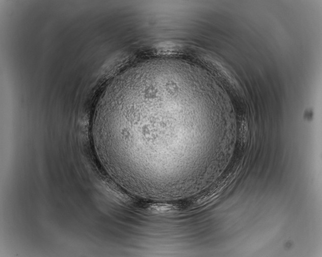 X0000100360557200806131017