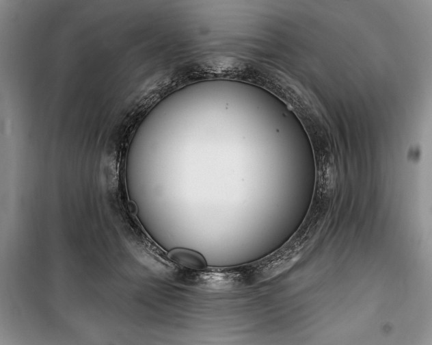 X0000100360558200806131017